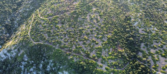 8800m² Land in Dorgali, Italy No. 255780 4