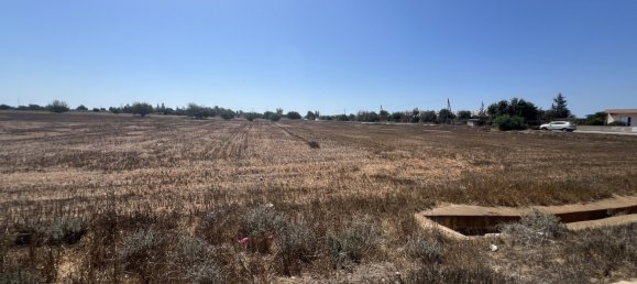 15457 m² terreno en venta en Avgorou, Ammochostos, Cyprus № 26586 3