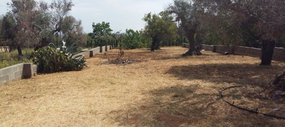 4 غرف نوم فيلا في Parabita, Italy رقم 357600 17