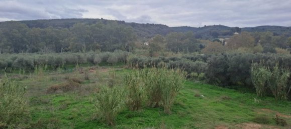 5 bedrooms Villa in Chania, Greece No. 8839 21