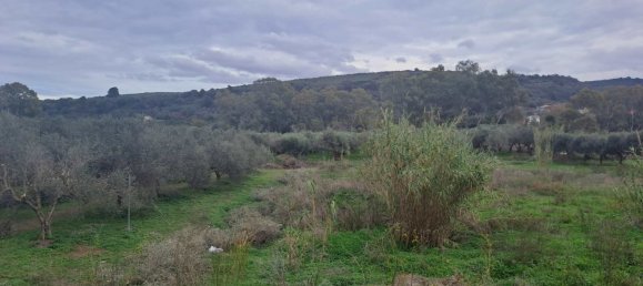 5 bedrooms Villa in Chania, Greece No. 8839 10