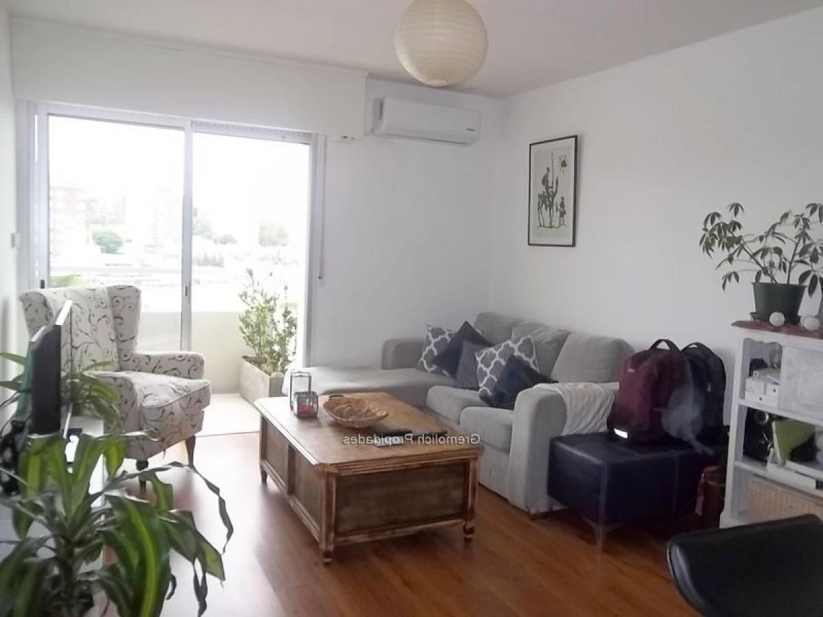 Studio à Montevideo, Uruguay No. 9626