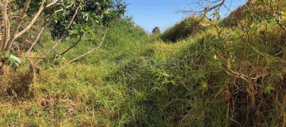  Land in Rincon de la Victoria, Spain No. 64526 6