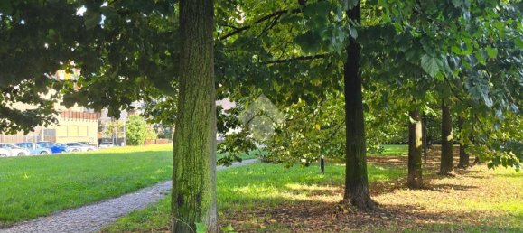 1 chambre Appartement à Cinisello Balsamo, Italy No. 353084 21