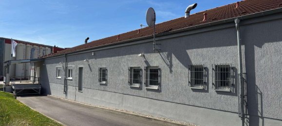  بناية في Halle, Germany 1775متر مربع رقم 222484 6