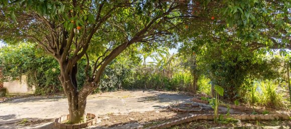 4 rooms Villa in Procida, Italy No. 31564 14