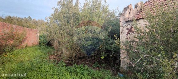 3 bedrooms House in Rio Maior, Portugal No. 185629 11