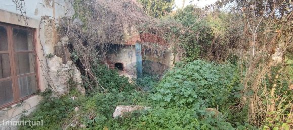 3 bedrooms House in Rio Maior, Portugal No. 185629 8