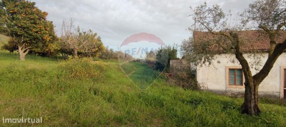 3 bedrooms House in Rio Maior, Portugal No. 185629 2