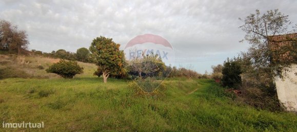 3 bedrooms House in Rio Maior, Portugal No. 185629 3