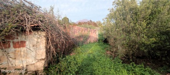 3 bedrooms House in Rio Maior, Portugal No. 185629 10