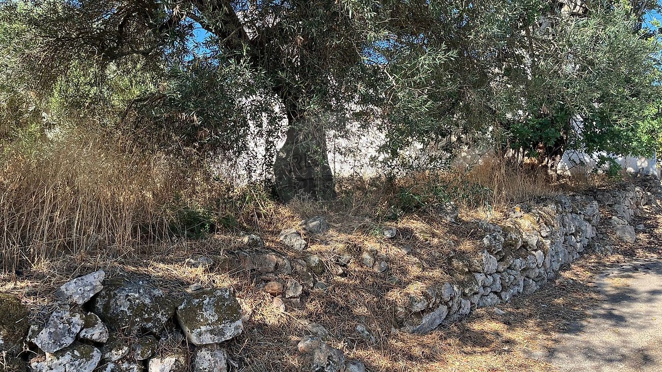 Terreno en Salir, Portugal 900 m² No. 354647