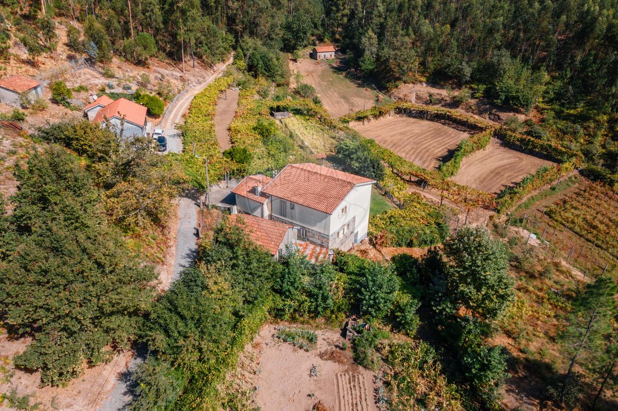 4 bedrooms House in Regadas, Portugal No. 177506