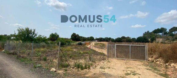 Terreno en Mallorca, Spain No. 164347 7