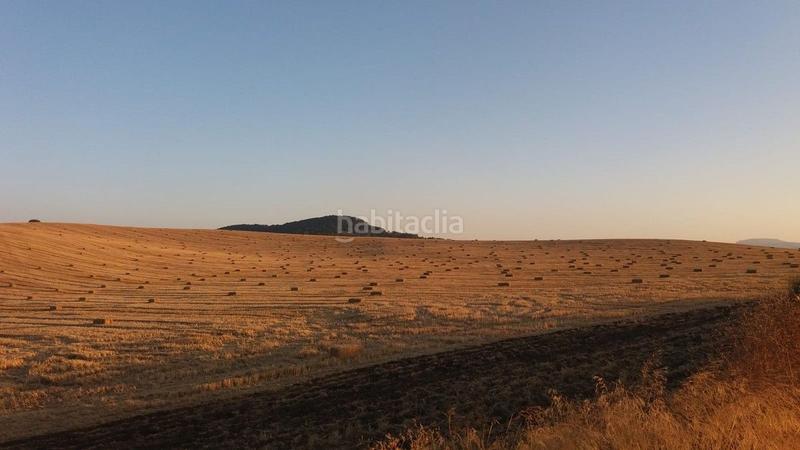 8 bedrooms House in Antequera, Spain No. 45061