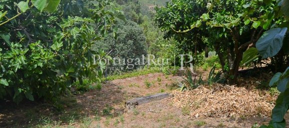 4 bedrooms House in Proenca a Nova, Portugal No. 192325 39