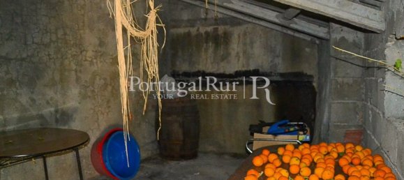 4 bedrooms House in Proenca a Nova, Portugal No. 192325 37