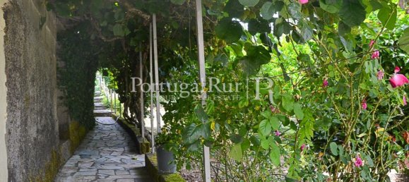 4 bedrooms House in Proenca a Nova, Portugal No. 192325 35