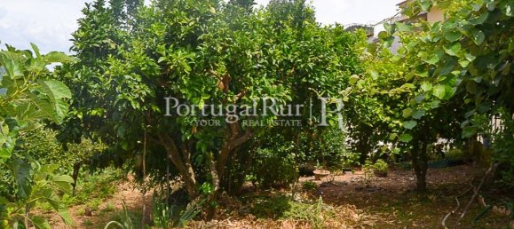 4 bedrooms House in Proenca a Nova, Portugal No. 192325 38