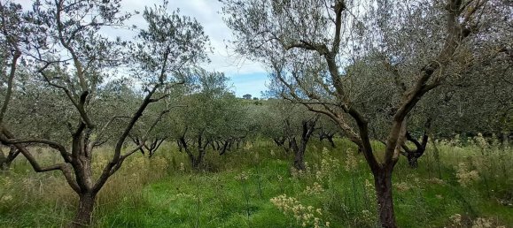 قطعة أرض في Civitella d'Agliano, Italy 3300متر مربع رقم 131724 10