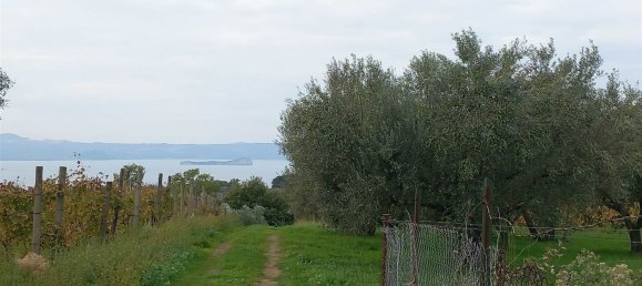 قطعة أرض في Civitella d'Agliano, Italy 3300متر مربع رقم 131724 17