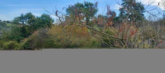 قطعة أرض في Civitella d'Agliano, Italy 3300متر مربع رقم 131724 19