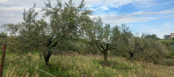 قطعة أرض في Civitella d'Agliano, Italy 3300متر مربع رقم 131724 26