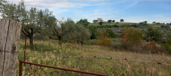 قطعة أرض في Civitella d'Agliano, Italy 3300متر مربع رقم 131724 23