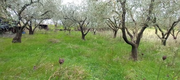 قطعة أرض في Civitella d'Agliano, Italy 3300متر مربع رقم 131724 7