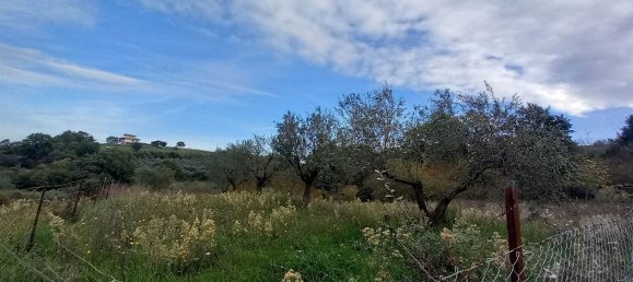 قطعة أرض في Civitella d'Agliano, Italy 3300متر مربع رقم 131724 18