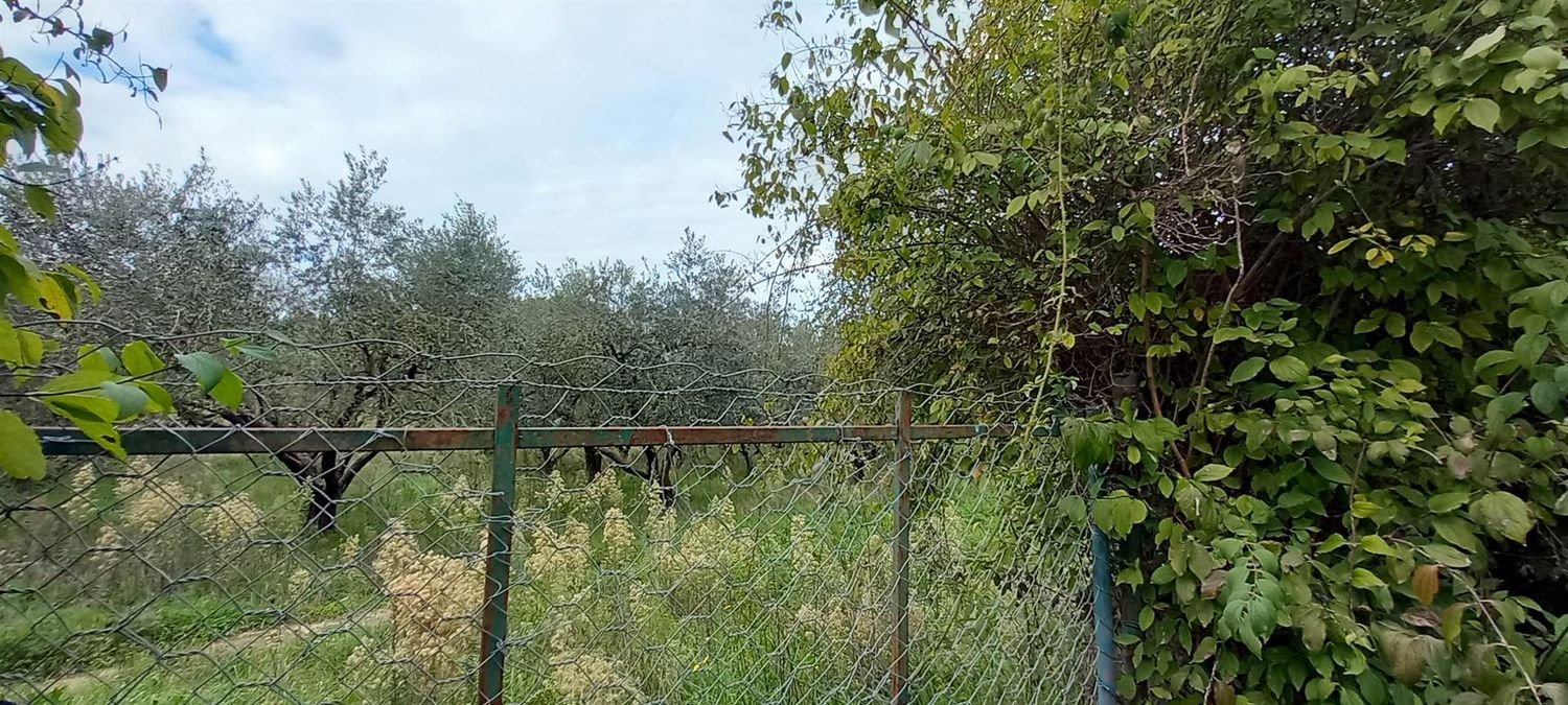  قطعة أرض في Civitella d'Agliano, Italy 3300متر مربع رقم 131724