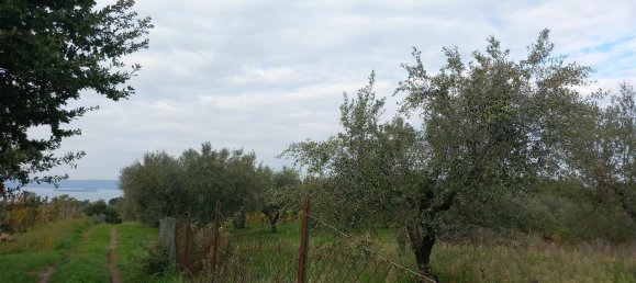 قطعة أرض في Civitella d'Agliano, Italy 3300متر مربع رقم 131724 22