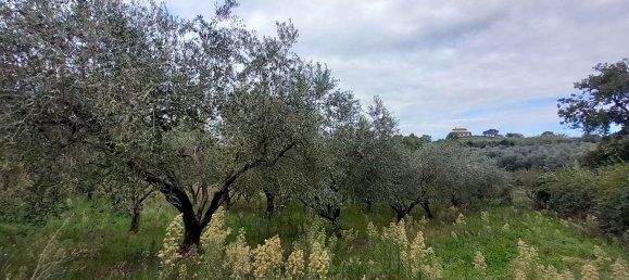 قطعة أرض في Civitella d'Agliano, Italy 3300متر مربع رقم 131724 4