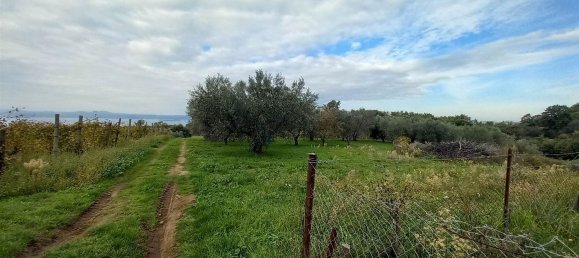 قطعة أرض في Civitella d'Agliano, Italy 3300متر مربع رقم 131724 21