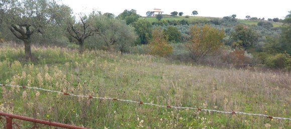 قطعة أرض في Civitella d'Agliano, Italy 3300متر مربع رقم 131724 20
