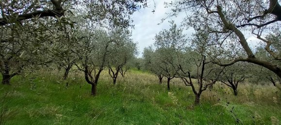 قطعة أرض في Civitella d'Agliano, Italy 3300متر مربع رقم 131724 12