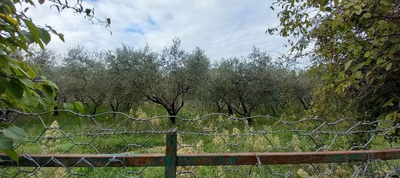 قطعة أرض في Civitella d'Agliano, Italy 3300متر مربع رقم 131724 2