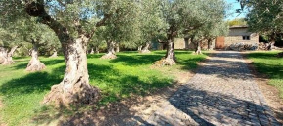 Villa de 7 habitaciónes en Frascati, Italy No. 300718 12