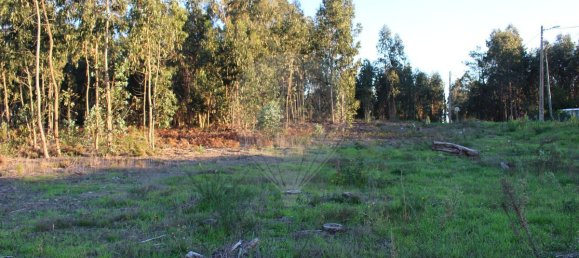 Terrain à Arazede, Portugal 5604m² No. 92013 4