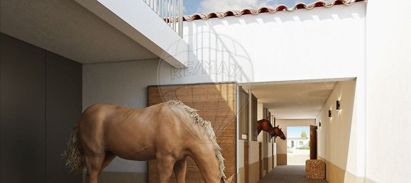 Casa T3 em Golegã, Portugal N.º 24260 4