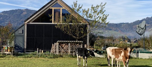 4 rooms Apartment in Andelsbuch, Austria No. 217481 12