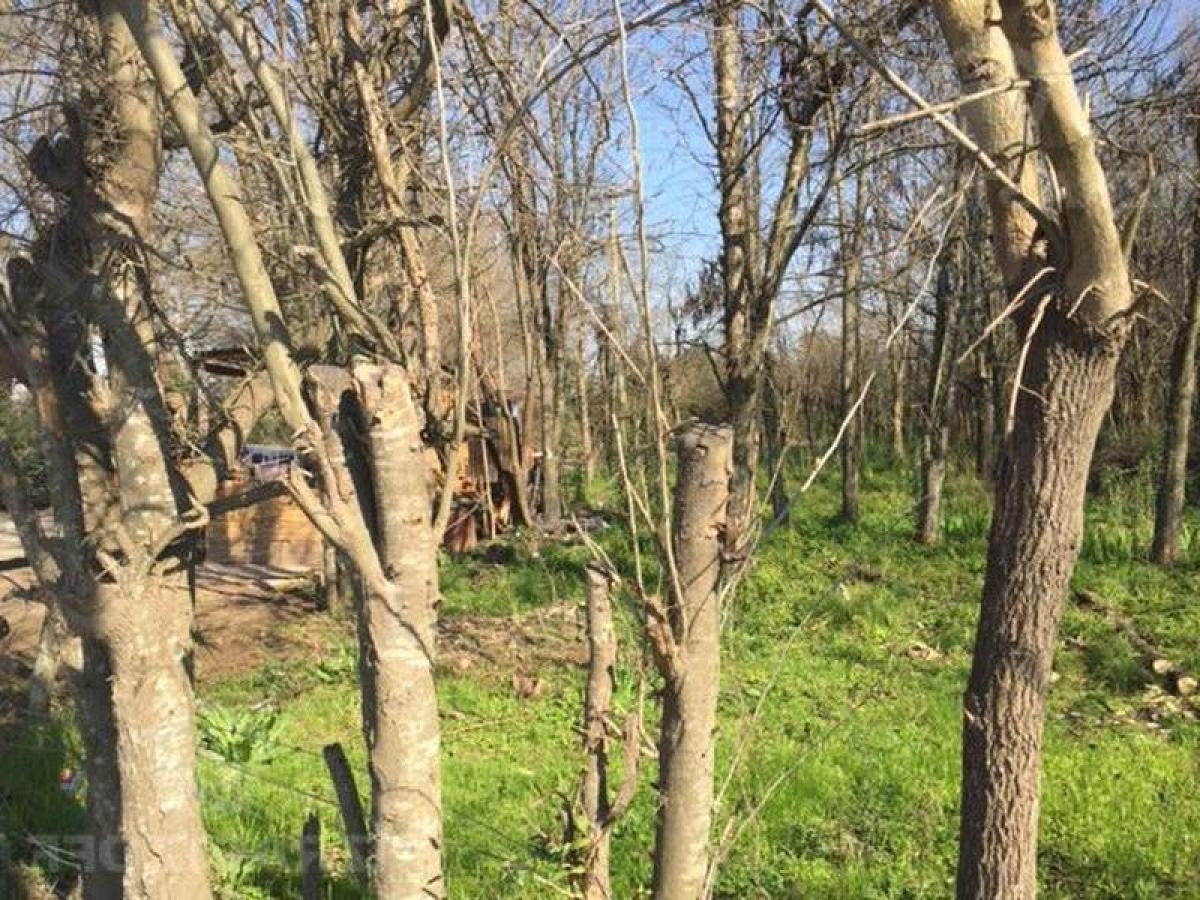 Terreno en Pilar, Argentina No. 115610