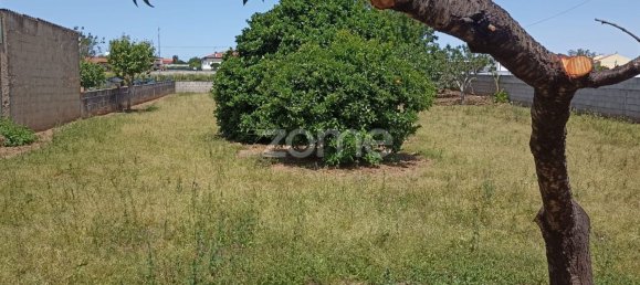 934m² Land in Macinhata do Vouga, Portugal No. 79850 3