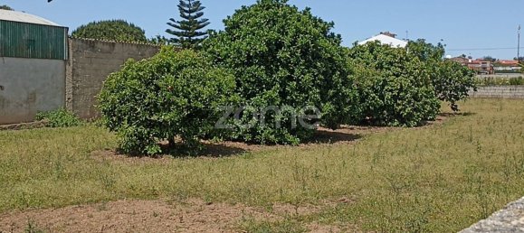 934m² Land in Macinhata do Vouga, Portugal No. 79850 4