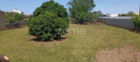 934m² Land in Macinhata do Vouga, Portugal No. 79850 2