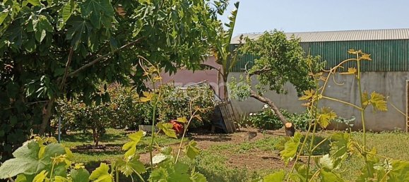 934m² Land in Macinhata do Vouga, Portugal No. 79850 5