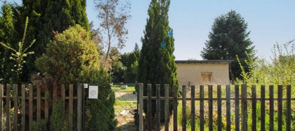  Land in Markisch-Oderland, Germany No. 323814 4