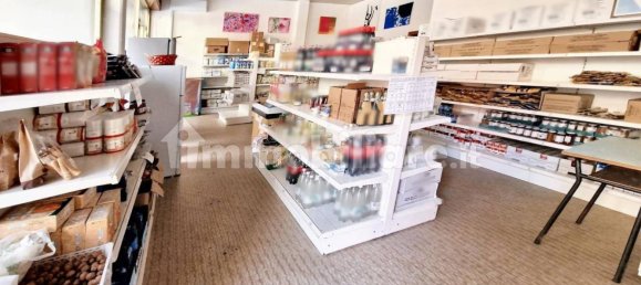 1425m² Office in Castel Bolognese, Italy No. 317475 29