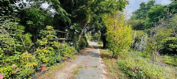 3 chambres Maison à Maves, France No. 255809 16