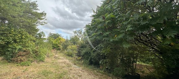 3 chambres Maison à Maves, France No. 255809 14